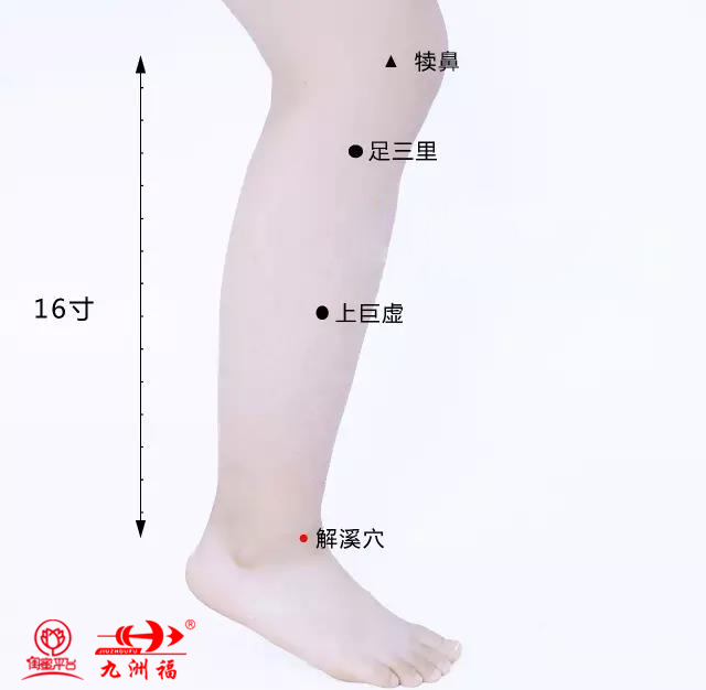 解溪穴